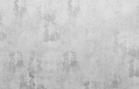コンクリート テクスチャー 灰色 グレーの壁紙 輸入 カスタム壁紙 輸入壁紙 カスタム壁紙 PHOTOWALL / Torn Concrete Wall (e318439) 貼ってはがせるフリース壁紙(不織布) 【海外取寄せ商品】 【代引き・後払い不可】
