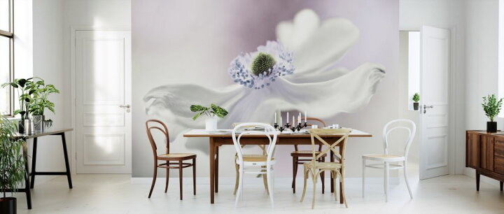 楽天市場 アネモネ 花 白 ホワイトの壁紙 輸入 カスタム壁紙 Photowall Anemone Breeze 貼ってはがせるフリース壁紙 不織布 海外取り寄せのため1カ月程度でお届け 代引き不可 壁紙屋本舗 カベガミヤホンポ