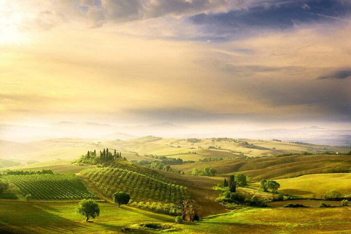 楽天市場 景色 牧草地 農園の壁紙 輸入 カスタム壁紙 Photowall Podere Belvederes Sunrise 貼ってはがせるフリース壁紙 不織布 海外取り寄せのため1カ月程度でお届け 代引き 後払い不可 壁紙屋本舗 カベガミヤホンポ 楽天市場 景色 牧草地 農園の壁紙 輸入 カスタム壁紙 Photowall Podere Belvederes Sunrise 貼ってはがせるフリース壁紙 不織布 海外取り寄せのため1カ月程度でお届け 代引き 後払い不可 壁紙屋本舗 カベガミヤホンポ