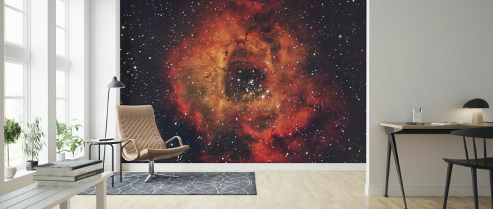 ばら星雲 宇宙の壁紙 輸入 カスタム壁紙 Photowall Rose In The Sky 貼ってはがせるフリース壁紙 不織布 海外取り寄せのため1カ月程度でお届け 代引き 後払い不可 壁紙屋本舗 カベガミヤホンポ ホーム装飾空間星空深宇宙宇宙星雲と銀河宇宙