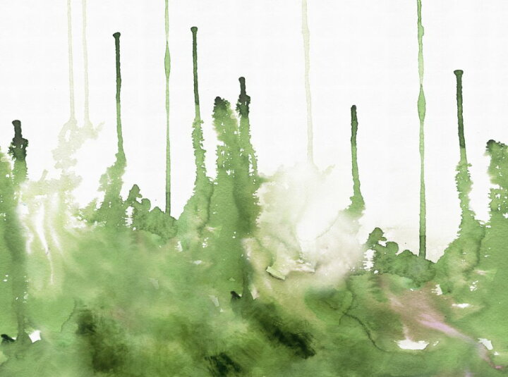 楽天市場 木 森林 水彩画 緑 グリーンの壁紙 輸入 カスタム壁紙 Photowall Watercolor Study Olive 貼ってはがせるフリース壁紙 不織布 海外取り寄せのため1カ月程度でお届け 代引き 後払い不可 壁紙 屋本舗 カベガミヤホンポ