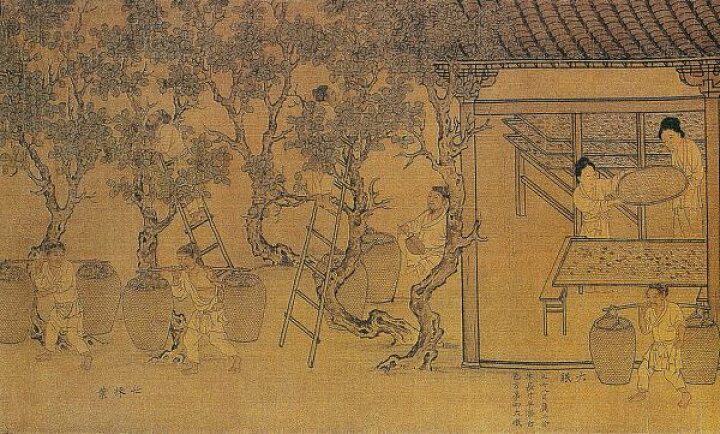楽天市場 中国 絵画 ビンテージ 甕 人物の壁紙 輸入 カスタム壁紙 Photowall Chinese Workers 185 貼ってはがせるフリース壁紙 不織布 海外取り寄せのため1カ月程度でお届け 代引き 後払い不可 壁紙屋本舗 カベガミヤホンポ