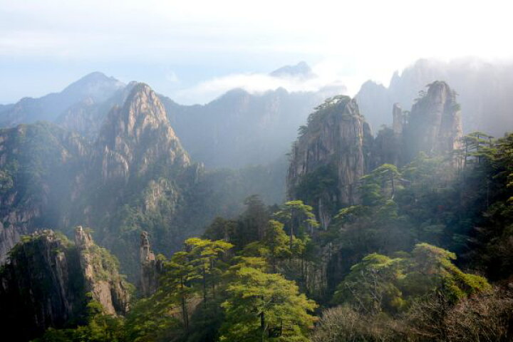 楽天市場 黄山 中国 山 岩 自然の壁紙 輸入 カスタム壁紙 Photowall Huangshan Scenery 104 貼ってはがせるフリース壁紙 不織布 海外取り寄せのため1カ月程度でお届け 代引き 後払い不可 壁紙屋本舗 カベガミヤホンポ