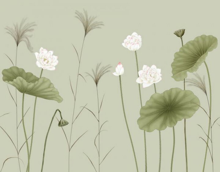 楽天市場 蓮 花 日本画 和風 緑 グリーンの壁紙 輸入 カスタム壁紙 Photowall Let It Grow Pea 貼ってはがせるフリース壁紙 不織布 海外取り寄せのため1カ月程度でお届け 代引き 後払い不可 壁紙屋本舗 カベガミヤホンポ 楽天市場 蓮 花 日本画 和風 緑 グリーンの壁紙 輸入 カスタム壁紙 Photowall Let It Grow Pea 貼ってはがせるフリース壁紙 不織布 海外取り寄せのため1カ月程度でお届け 代引き 後払い不可 壁紙屋本舗 カベガミヤホンポ