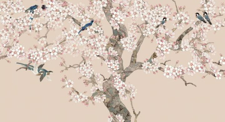 楽天市場 桜 花 鳥 ピンク ピンクベージュ 花見 エア花見 の壁紙 輸入 カスタム壁紙 Photowall Doux Birds Home Peach 貼ってはがせるフリース壁紙 不織布 海外取り寄せのため1カ月程度でお届け 代引き 後払い不可 壁紙屋本舗 カベガミヤホンポ
