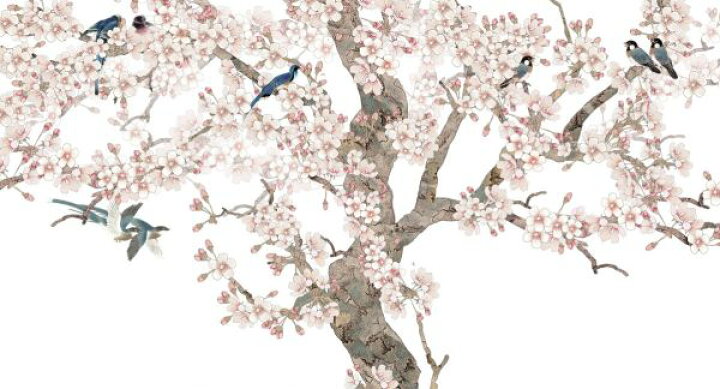 楽天市場 桜 花 鳥 花見 エア花見 の壁紙 輸入 カスタム壁紙 Photowall Doux Birds Home 貼ってはがせるフリース壁紙 不織布 海外取り寄せのため1カ月程度でお届け 代引き 後払い不可 壁紙屋本舗 カベガミヤホンポ