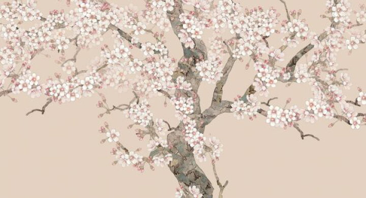 楽天市場 桜 花 ピンク ピンクベージュ 花見 エア花見 の壁紙 輸入 カスタム壁紙 Photowall Doux Blossom Peach 貼ってはがせるフリース壁紙 不織布 海外取り寄せのため1カ月程度でお届け 代引き 後払い不可 壁紙 屋本舗 カベガミヤホンポ 楽天市場 桜 花 ピンク ピンクベージュ 花見 エア花見 の壁紙 輸入 カスタム壁紙 Photowall Doux Blossom Peach 貼ってはがせるフリース壁紙 不織布 海外取り寄せのため1カ月程度でお届け 代引き 後払い不可 壁紙 屋本舗 カベガミヤホンポ