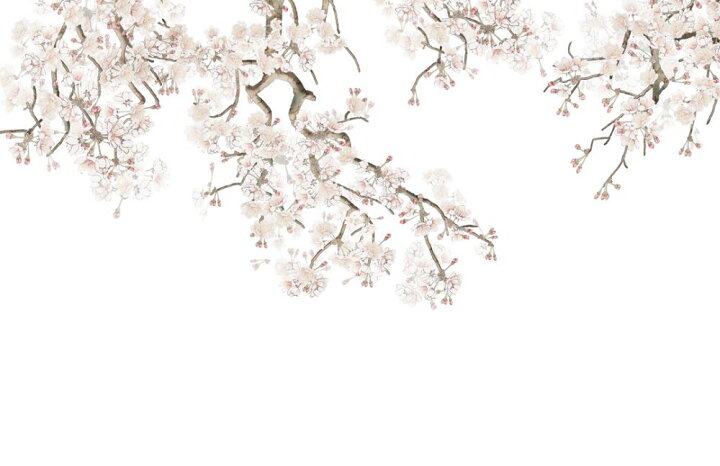 楽天市場 桜 花 日本画 和風 花見 エア花見 の壁紙 輸入 カスタム壁紙 Photowall Hanging Branches 177 貼ってはがせるフリース壁紙 不織布 海外取り寄せのため1カ月程度でお届け 代引き 後払い不可 壁紙 屋本舗 カベガミヤホンポ