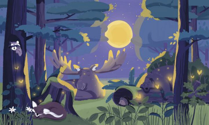 楽天市場 森 月 イラスト キッズ 子供 動物 ヘラジカの壁紙 輸入 カスタム壁紙 Photowall Sleepy Forest 貼ってはがせるフリース壁紙 不織布 海外取り寄せのため1カ月程度でお届け 代引き 後払い不可 壁紙 屋本舗 カベガミヤホンポ 楽天市場 森 月 イラスト キッズ 子供 動物 ヘラジカの壁紙 輸入 カスタム壁紙 Photowall Sleepy Forest 貼ってはがせるフリース壁紙 不織布 海外取り寄せのため1カ月程度でお届け 代引き 後払い不可 壁紙 屋本舗 カベガミヤホンポ
