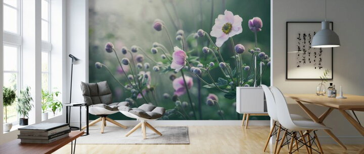 楽天市場 アネモネ 花 アンティークの壁紙 輸入 カスタム壁紙 Photowall Anemone Flowers In Bloom 貼ってはがせるフリース壁紙 不織布 海外取り寄せのため1カ月程度でお届け 代引き 後払い不可 壁紙 屋本舗 カベガミヤホンポ