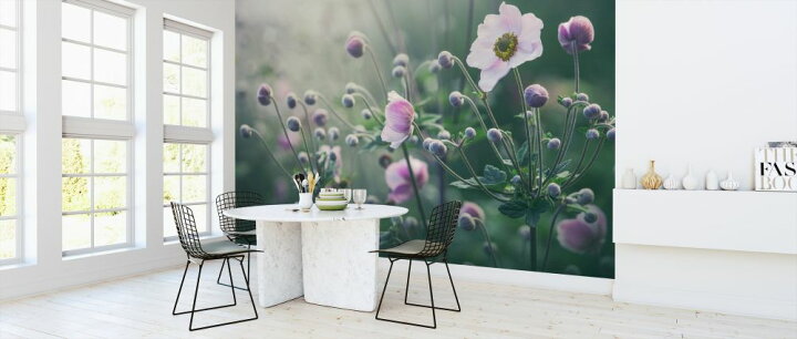 楽天市場 アネモネ 花 アンティークの壁紙 輸入 カスタム壁紙 Photowall Anemone Flowers In Bloom 貼ってはがせるフリース壁紙 不織布 海外取り寄せのため1カ月程度でお届け 代引き 後払い不可 壁紙 屋本舗 カベガミヤホンポ