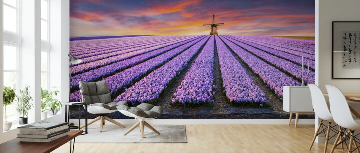 楽天市場 紫 花 農園 風車 夕焼けの壁紙 輸入 カスタム壁紙 Photowall Farm Of Flowers 貼ってはがせるフリース壁紙 不織布 海外取り寄せのため1カ月程度でお届け 代引き 後払い不可 壁紙屋本舗 カベガミヤホンポ