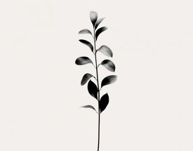 楽天市場 黒の壁紙の通販