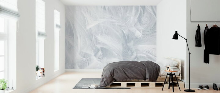 楽天市場 羽根 フェザー 白 ホワイトの壁紙 輸入 カスタム壁紙 Photowall White Feathers 181 貼ってはがせるフリース壁紙 不織布 海外取り寄せのため1カ月程度でお届け 代引き 後払い不可 壁紙屋本舗 カベガミヤホンポ 楽天市場 羽根 フェザー 白 ホワイトの壁紙 輸入 カスタム壁紙 Photowall White Feathers 181 貼ってはがせるフリース壁紙 不織布 海外取り寄せのため1カ月程度でお届け 代引き 後払い不可 壁紙屋本舗 カベガミヤホンポ