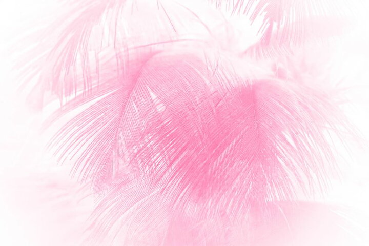 楽天市場 羽根 フェザー ピンクの壁紙 輸入 カスタム壁紙 Photowall Close Up Of Feathers 102 貼ってはがせるフリース壁紙 不織布 海外取り寄せのため1カ月程度でお届け 代引き 後払い不可 壁紙屋本舗 カベガミヤホンポ 楽天市場 羽根 フェザー ピンクの壁紙 輸入 カスタム壁紙 Photowall Close Up Of Feathers 102 貼ってはがせるフリース壁紙 不織布 海外取り寄せのため1カ月程度でお届け 代引き 後払い不可 壁紙屋本舗 カベガミヤホンポ