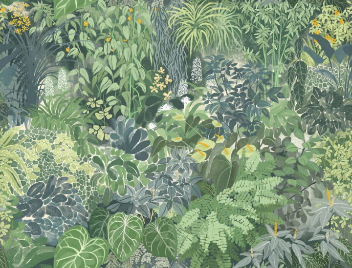 楽天市場 植物 葉 ボタニカル トロピカル 緑 グリーンの壁紙 輸入 カスタム壁紙 Photowall Tropical Plants 142 貼ってはがせるフリース壁紙 不織布 海外取り寄せのため1カ月程度でお届け 代引き 後払い不可 壁紙 屋本舗 カベガミヤホンポ