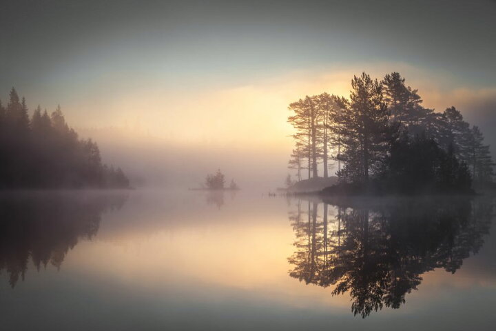 楽天市場 森 森林 水辺 霧 もや 朝日の壁紙 輸入 カスタム壁紙 Photowall Sunrise In The Forest 貼ってはがせるフリース壁紙 不織布 海外取り寄せのため1カ月程度でお届け 代引き 後払い不可 壁紙 屋本舗 カベガミヤホンポ