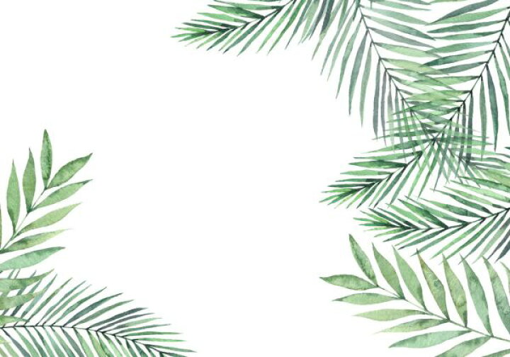 楽天市場 ヤシの葉 パームリーフ トロピカル ボタニカル 緑 グリーンの壁紙 輸入 カスタム壁紙 Photowall Palm Leaves And Branches 貼ってはがせるフリース壁紙 不織布 海外取り寄せのため1カ月程度でお届け 代引き 後払い不可 壁紙屋本舗