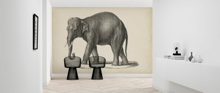 楽天市場 象 ゾウ イラスト ビンテージ アンティークの壁紙 輸入 カスタム壁紙 Photowall Brodtmann Elephant 614 貼ってはがせるフリース壁紙 不織布 海外取り寄せのため1カ月程度でお届け 代引き 後払い不可 壁紙 屋本舗 カベガミヤホンポ