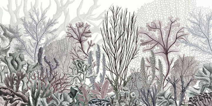 楽天市場 イラスト 海藻 サンゴ 海の壁紙 輸入 カスタム壁紙 Photowall Ocean Wonders 798 貼ってはがせるフリース壁紙 不織布 海外取り寄せのため1カ月程度でお届け 代引き 後払い不可 壁紙屋本舗 カベガミヤホンポ