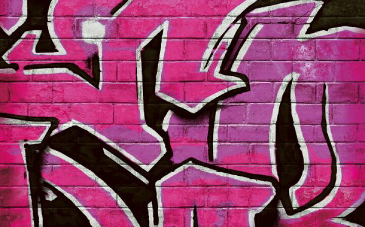 楽天市場 グラフィティアート ストリートアート レンガ フェイク ピンク マゼンタの壁紙 輸入 カスタム壁紙 Photowall Graffiti Brick Wall Pink 2 貼ってはがせるフリース壁紙 不織布 海外取り寄せのため1カ月程度でお届け 代引き 後払い不可