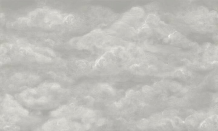 楽天市場 雲 空 灰色 グレーの壁紙 輸入 カスタム壁紙 Photowall Tender Clouds Beige 866 貼ってはがせるフリース壁紙 不織布 海外取り寄せのため1カ月程度でお届け 代引き 後払い不可 壁紙屋本舗 カベガミヤホンポ