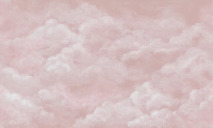 楽天市場 雲 空 ピンクの壁紙 輸入 カスタム壁紙 Photowall Tender Clouds Pink 868 貼ってはがせるフリース壁紙 不織布 海外取り寄せのため1カ月程度でお届け 代引き 後払い不可 壁紙屋本舗 カベガミヤホンポ