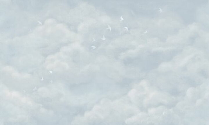 楽天市場 雲 空 鳥 水色の壁紙 輸入 カスタム壁紙 Photowall Tender Clouds With White Swallows Soft Blue 871 貼ってはがせるフリース壁紙 不織布 海外取り寄せのため1カ月程度でお届け 代引き 後払い不可 壁紙 屋本舗 カベガミヤホンポ