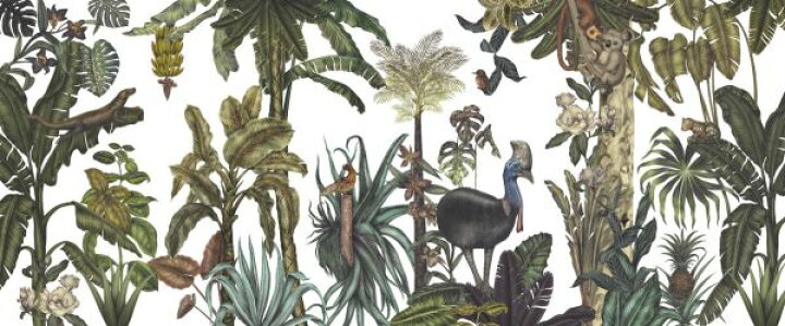 楽天市場 ジャングル 森林 ボタニカル トロピカル 緑 グリーンの壁紙 輸入 カスタム壁紙 Photowall Warm Jungle World 916 貼ってはがせるフリース壁紙 不織布 海外取り寄せのため1カ月程度でお届け 代引き 後払い不可 壁紙 屋本舗 カベガミヤホンポ