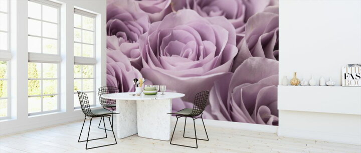 楽天市場 バラ 花 紫 パープルの壁紙 輸入 カスタム壁紙 Photowall Roses 985 貼ってはがせるフリース壁紙 不織布 海外取り寄せのため1カ月程度でお届け 代引き 後払い不可 壁紙屋本舗 カベガミヤホンポ