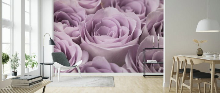 楽天市場 バラ 花 紫 パープルの壁紙 輸入 カスタム壁紙 Photowall Roses 985 貼ってはがせるフリース壁紙 不織布 海外取り寄せのため1カ月程度でお届け 代引き 後払い不可 壁紙屋本舗 カベガミヤホンポ