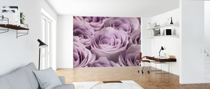 楽天市場 バラ 花 紫 パープルの壁紙 輸入 カスタム壁紙 Photowall Roses 985 貼ってはがせるフリース壁紙 不織布 海外取り寄せのため1カ月程度でお届け 代引き 後払い不可 壁紙屋本舗 カベガミヤホンポ
