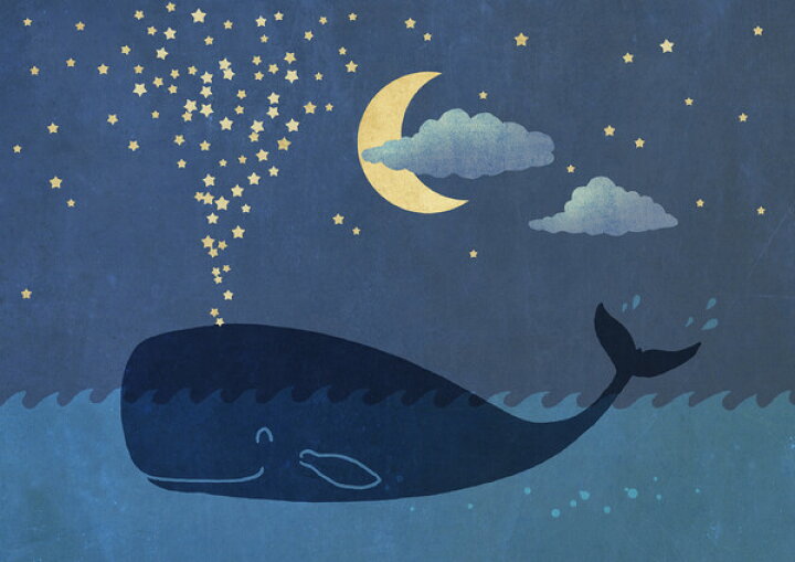 楽天市場 クジラ イラスト キッズ こども部屋 星 月の壁紙 輸入 カスタム壁紙 Photowall Star Maker 061 貼ってはがせるフリース壁紙 不織布 海外取り寄せのため1カ月程度でお届け 代引き 後払い不可 壁紙屋本舗 カベガミヤホンポ