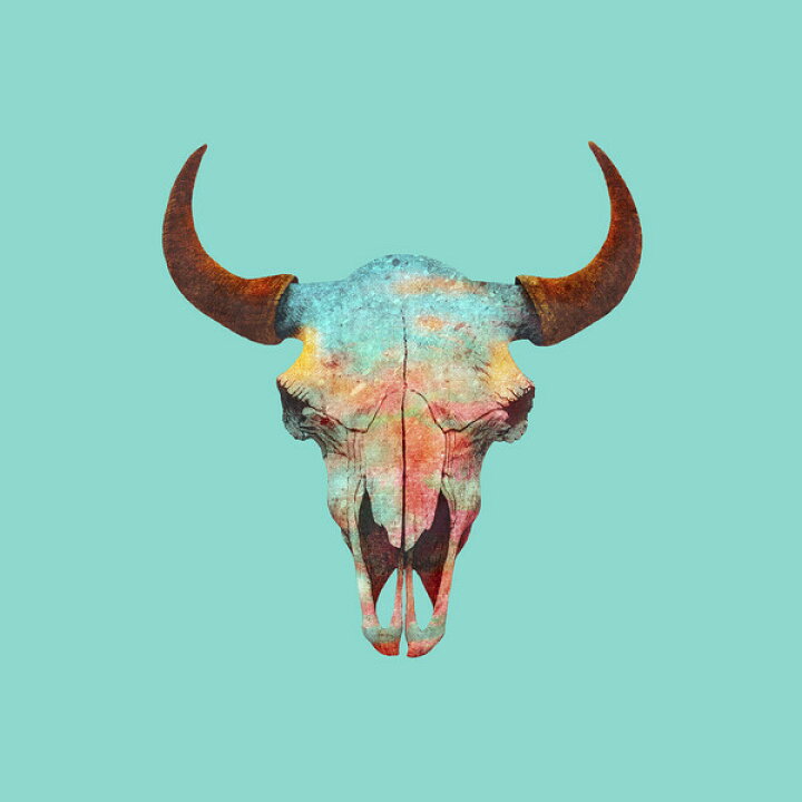 楽天市場 牛骨 スカル アート 水色 青 ブルーの壁紙 輸入 カスタム壁紙 Photowall Turquoise Sky 084 貼ってはがせるフリース壁紙 不織布 海外取り寄せのため1カ月程度でお届け 代引き 後払い不可 壁紙屋本舗 カベガミヤホンポ