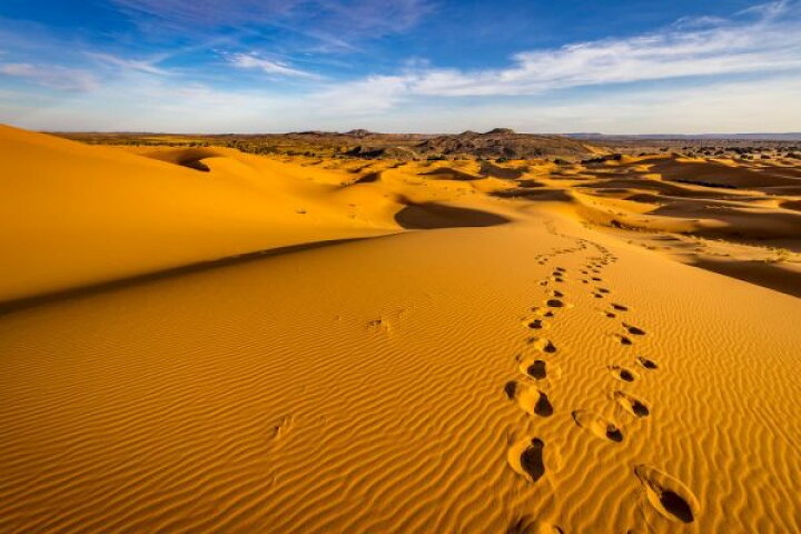楽天市場 砂漠 空 黄色 イエロー オレンジの壁紙 輸入 カスタム壁紙 Photowall Desert Dunes Iiii 貼ってはがせるフリース壁紙 不織布 海外取り寄せのため1カ月程度でお届け 代引き 後払い不可 壁紙屋本舗 カベガミヤホンポ 楽天市場 砂漠 空 黄色 イエロー オレンジの壁紙 輸入 カスタム壁紙 Photowall Desert Dunes Iiii 貼ってはがせるフリース壁紙 不織布 海外取り寄せのため1カ月程度でお届け 代引き 後払い不可 壁紙屋本舗 カベガミヤホンポ