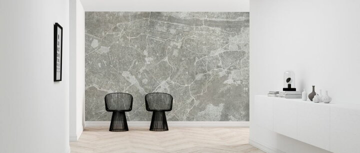 楽天市場 地図 マップ ニューヨーク モノクロ モノトーン かっこいいの壁紙 輸入 カスタム壁紙 Photowall Concrete Wall With New York City Map Gray 216 貼ってはがせるフリース壁紙 不織布 海外取り寄せのため1カ月程度でお届け 代引き 後払い不可