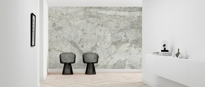 楽天市場 地図 マップ ニューヨーク モノクロ モノトーン かっこいいの壁紙 輸入 カスタム壁紙 Photowall Concrete Wall With New York City Map White 217 貼ってはがせるフリース壁紙 不織布 海外取り寄せのため1カ月程度でお届け 代引き 後払い不可