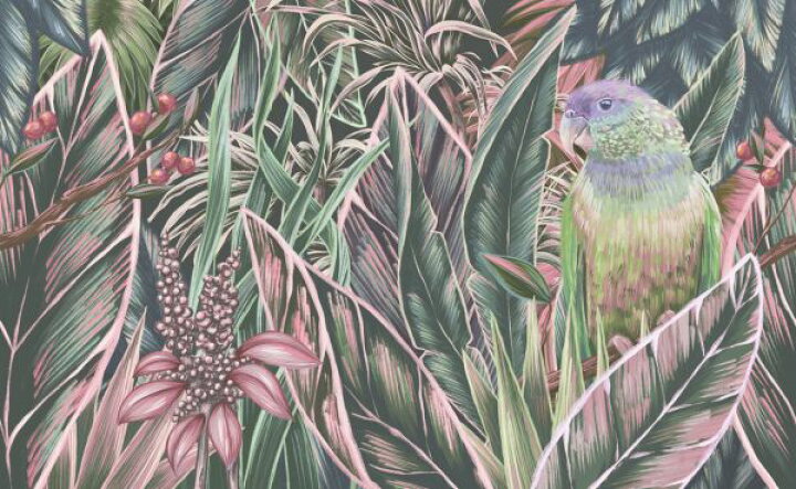 楽天市場 インコ 鳥 イラスト トロピカル 南国の壁紙 輸入 カスタム壁紙 Photowall Big Parrot Ii 貼ってはがせるフリース壁紙 不織布 海外取り寄せのため1カ月程度でお届け 代引き 後払い不可 壁紙屋本舗 カベガミヤホンポ