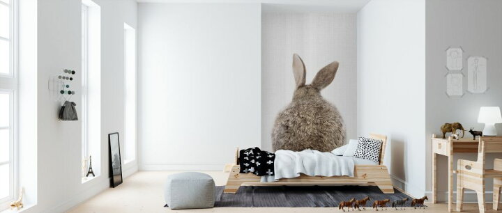 楽天市場 ウサギ おしり 動物 かわいい キッズルーム こども部屋の壁紙 輸入 カスタム壁紙 Photowall Bunny Rabbit Tail 貼ってはがせるフリース壁紙 不織布 海外取り寄せのため1カ月程度でお届け 代引き 後払い不可 壁紙 屋本舗 カベガミヤホンポ