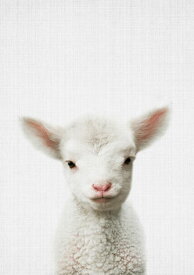 楽天市場 ひつじ 壁紙 壁紙 装飾フィルム インテリア 寝具 収納の通販