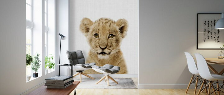 楽天市場 ライオン 動物 かわいい キッズルーム こども部屋の壁紙 輸入 カスタム壁紙 Photowall Baby Lion 貼ってはがせるフリース壁紙 不織布 海外取り寄せのため1カ月程度でお届け 代引き 後払い不可 壁紙屋本舗 カベガミヤホンポ