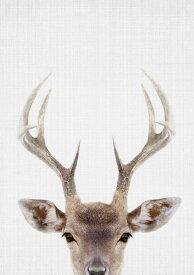 楽天市場 鹿 イラスト かわいい 壁紙 装飾フィルム インテリア 寝具 収納 の通販