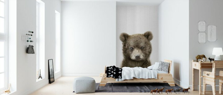 楽天市場 クマ 熊 動物 かわいい キッズルーム こども部屋の壁紙 輸入 カスタム壁紙 Photowall Baby Bear 貼ってはがせるフリース壁紙 不織布 海外取り寄せのため1カ月程度でお届け 代引き 後払い不可 壁紙屋本舗 カベガミヤホンポ