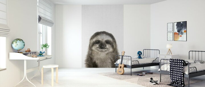 楽天市場 ナマケモノ 動物 かわいい キッズルーム こども部屋の壁紙 輸入 カスタム壁紙 Photowall Baby Sloth 貼ってはがせるフリース壁紙 不織布 海外取り寄せのため1カ月程度でお届け 代引き 後払い不可 壁紙 屋本舗 カベガミヤホンポ