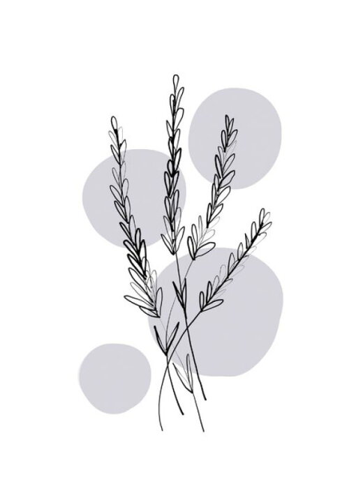 楽天市場 イラスト 植物 花 ボタニカル ラベンダー 紫 パープルの壁紙 輸入 カスタム壁紙 Photowall Delicate Botanicals Lavender 貼ってはがせるフリース壁紙 不織布 海外取り寄せのため1カ月程度でお届け 代引き 後払い不可 壁紙屋本舗
