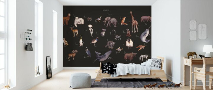 楽天市場 動物 イラスト キッズ こども部屋 黒 ブラックの壁紙 輸入 カスタム壁紙 Photowall Animal Alphabet Dark 231 貼ってはがせるフリース壁紙 不織布 海外取り寄せのため1カ月程度でお届け 代引き 後払い不可 壁紙 屋本舗 カベガミヤホンポ