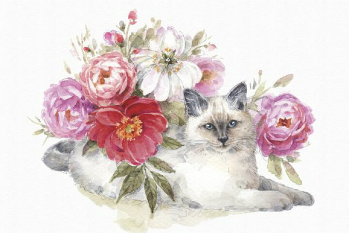 楽天市場 花 ピンク 水彩画 ネコ 猫の壁紙 輸入 カスタム壁紙 Photowall Obviously Pink 21a 貼ってはがせるフリース壁紙 不織布 海外取寄せ商品 代引き 後払い不可 壁紙屋本舗 カベガミヤホンポ