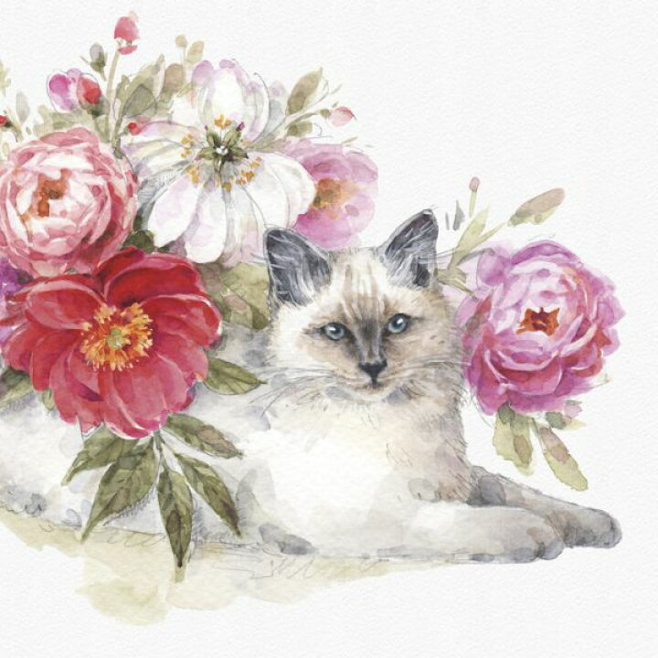 楽天市場 花 ピンク 水彩画 ネコ 猫の壁紙 輸入 カスタム壁紙 Photowall Obviously Pink 21b 貼ってはがせるフリース壁紙 不織布 海外取寄せ商品 代引き 後払い不可 壁紙屋本舗 カベガミヤホンポ