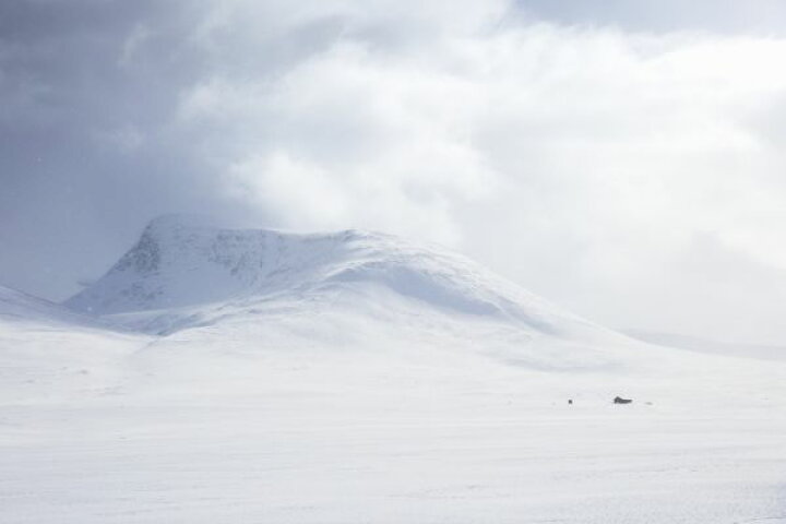 楽天市場 雪山 冬 雪 白 ホワイトの壁紙 輸入 カスタム壁紙 Photowall Wintry Lapland Sweden 663 貼ってはがせるフリース壁紙 不織布 海外取り寄せのため1カ月程度でお届け 代引き 後払い不可 壁紙屋本舗 カベガミヤホンポ