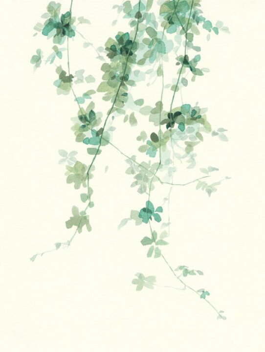 楽天市場 植物 葉 ツタ 水彩画 ナチュラル 緑 グリーンの壁紙 輸入 カスタム壁紙 Photowall Trailing Vines Ii 貼ってはがせるフリース壁紙 不織布 海外取り寄せのため1カ月程度でお届け 代引き 後払い不可 壁紙 屋本舗 カベガミヤホンポ
